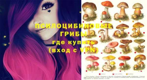 соль курить ск Аркадак