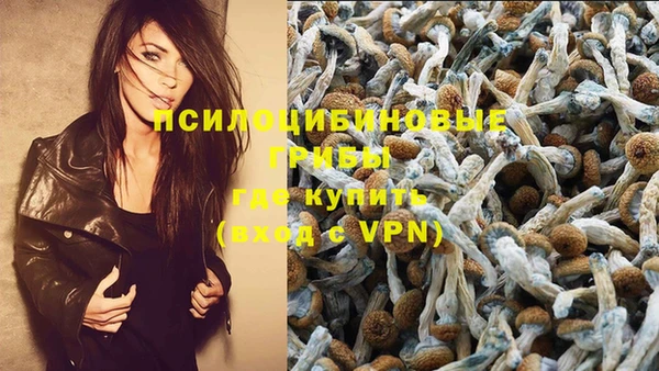 соль курить ск Аркадак