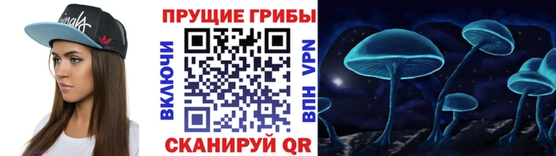 Купить где  Лениногорск  Псилоцибиновые грибы GOLDEN TEACHER 